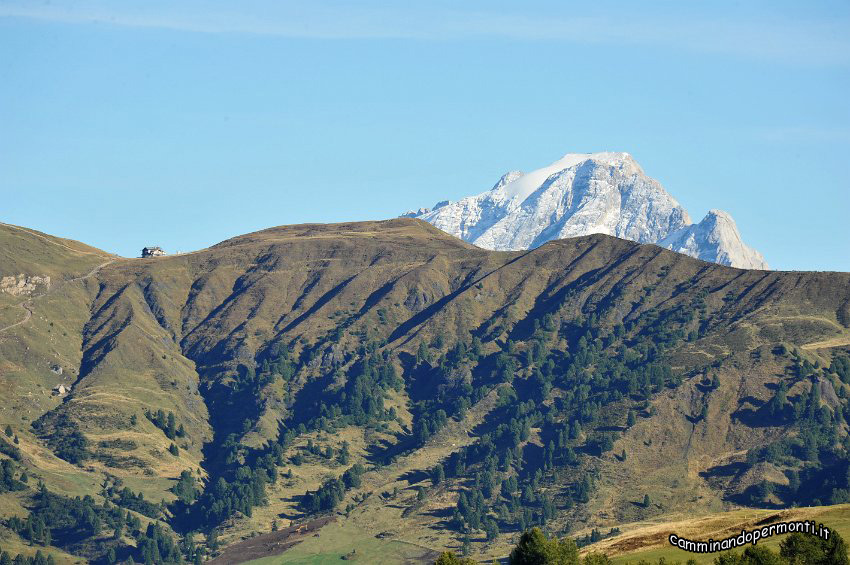 188 Sullo sfondo il Rifugio Sasso Piatto e la Marmolada.JPG